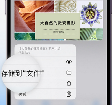 杜集apple维修中心分享iPhone文件应用中存储和找到下载文件