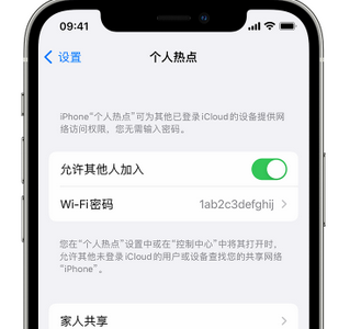 杜集apple服务站点分享iPhone上个人热点丢失了怎么办 