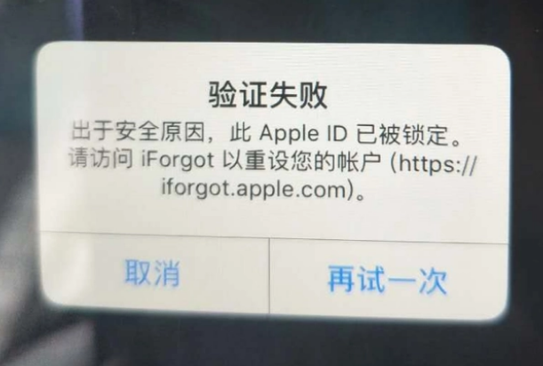 杜集iPhone维修分享iPhone上正常登录或使用AppleID怎么办 