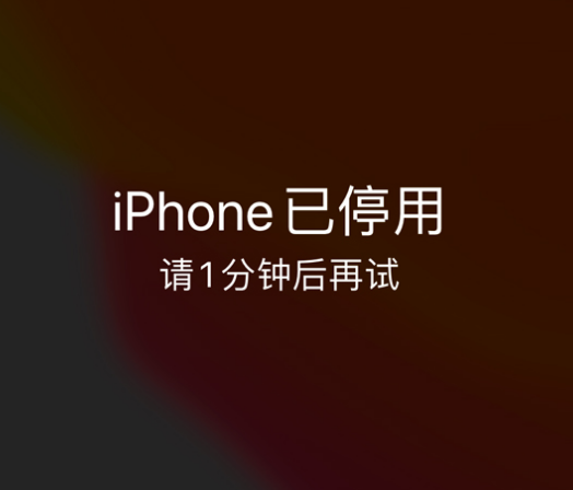 杜集苹果手机维修分享:iPhone 显示“不可用”或“已停用”怎么办？还能保留数据吗？ 