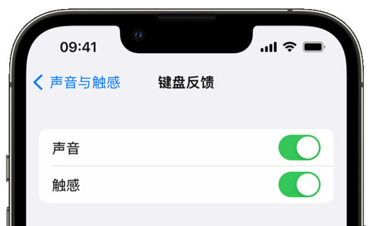 杜集苹果手机维修分享iPhone 14触感键盘使用方法 