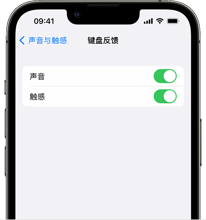 杜集苹果14维修店分享如何在 iPhone 14 机型中使用触感键盘 