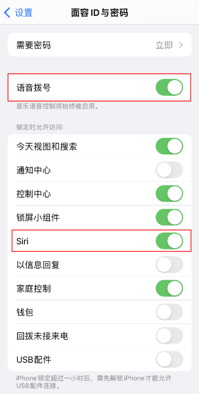 杜集苹果维修网点分享不解锁 iPhone 的情况下通过 Siri 拨打电话的方法 