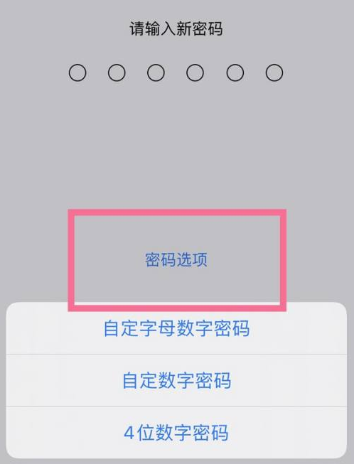 杜集苹果14维修分享iPhone 14plus设置密码的方法 