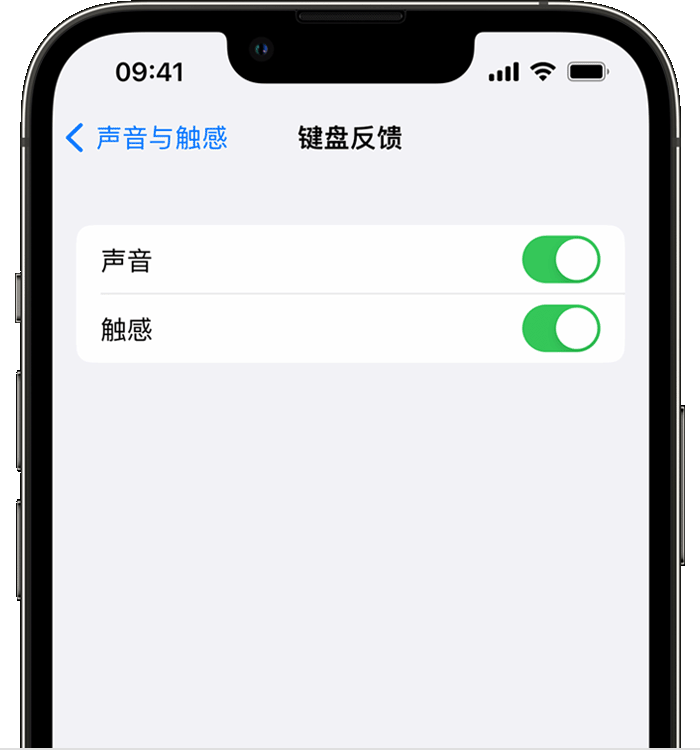 杜集苹果14维修分享iPhone 14 系列机型如何开启键盘声音或触感反馈 