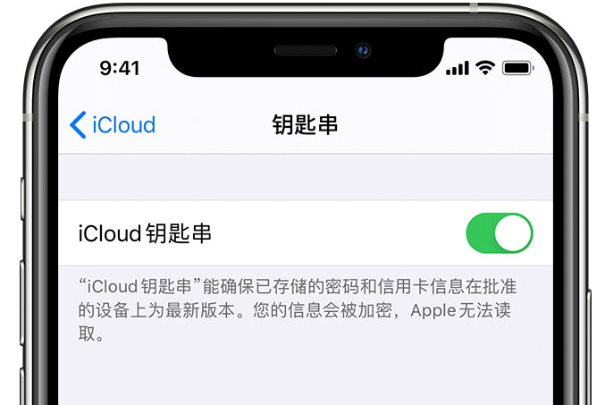 杜集苹果手机维修分享在 iPhone 上开启 iCloud 钥匙串之后会储存哪些信息 