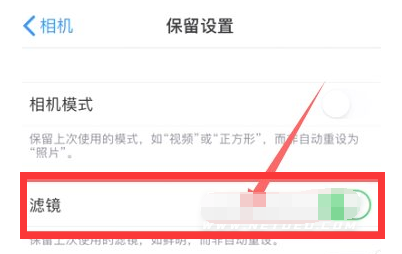 杜集苹果13维修分享iPhone13拍照有绿点是怎么回事 