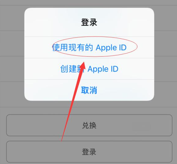 杜集苹果手机维修分享两台iPhone设备可以同时登录一个Apple ID吗 